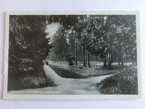 Alte AK Ostseebad Kühlungsborn Waldpartie um 1930 [aV150]