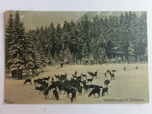 Alte AK Schloß Linderhof Wildfütterung Rotwild Rehe [aV283]