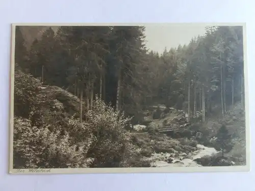 Alte AK Der Wildbach Unbekannter Ort Tuck’s Postkarte [aV467]