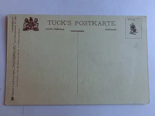 Alte AK Der Wildbach Unbekannter Ort Tuck’s Postkarte [aV467]