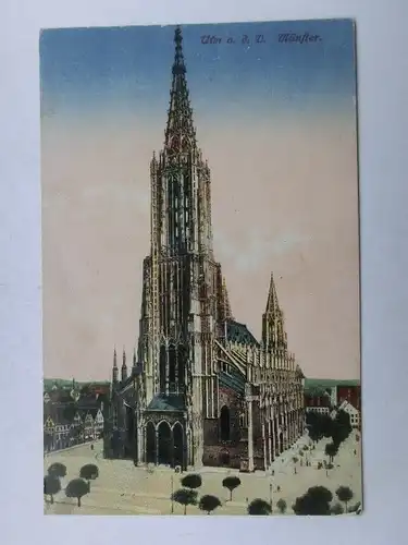 Alte AK Ulm Donau Münster [aV596]