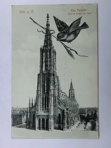 Alte AK Ulm Das Münster Ulmer Spatz um 1915 [aV597]