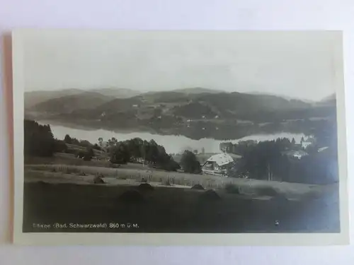 Alte AK Titisee Schwarzwald 1928 [aV687]