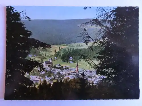 Alte AK Bischofsgrün Fichtelgebirge [D891]