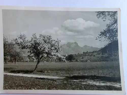 Alte AK Fotokarte Feilnbach ??? Oberbayern [D429]