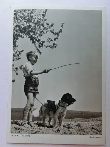 Alte AK Photo Porst Rudi Herzog Schau, Karo Hund Junge [D843]