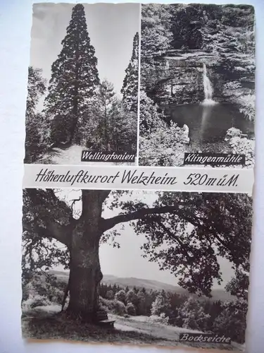 Alte AK Welzheim Mehrbildkarte [Z78]