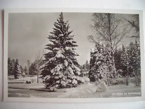 Alte AK Schömberg Im Walde Winter Schwarzwald [Z114]