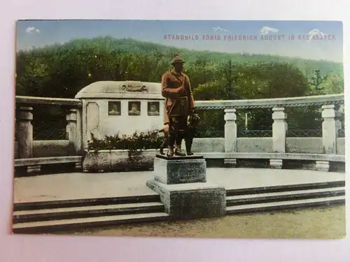 Alte AK Bad Elster Standbild König Friedrich August 1917 [aW5]