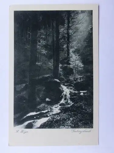 Alte AK Wiechmann Bildkarten Schwarzwald Gebirgsbach [aW104]