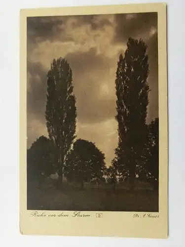 Alte AK Stimmungsbilder Verlag H. Lüdorff, Zwingenberg  Bäume [aW124]
