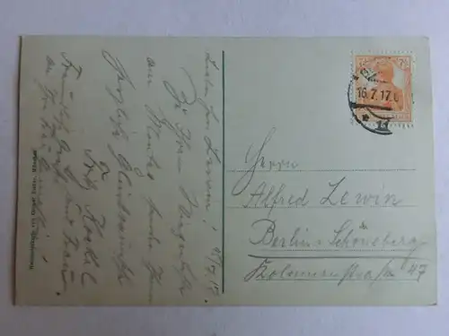 Alte AK Bad Elster Louisa See 1917 [aW174]