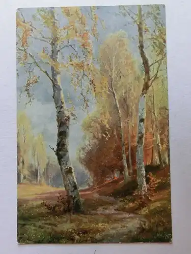 Alte AK Künstlerkarte Bäume Birken 1914 [aW266]