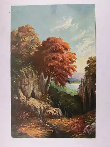 Alte AK Künstlerkarte Bäume Felsen Landschaft G. Fiebiger [aW487]