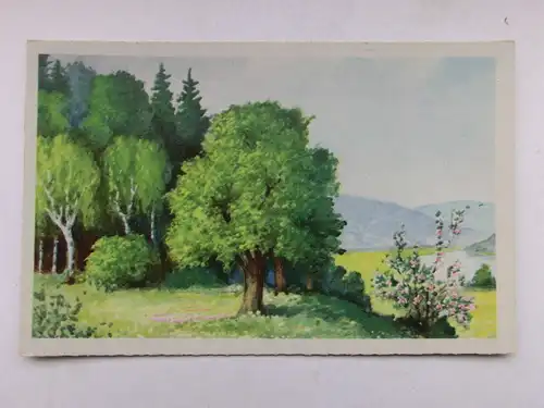 Alte AK Künstlerkarte Wald Bäume Birken See [aW489]