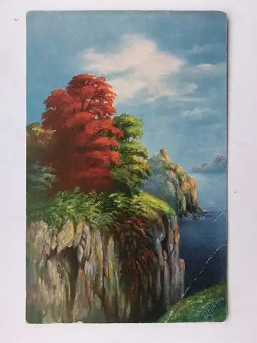 Alte AK Künstlerkarte Felsen Meer Bäume G. Fiebiger [aW502]