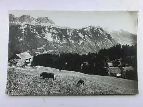 Alte AK Gebirge Berge Alpen Alm Kühe Weide [aW529]