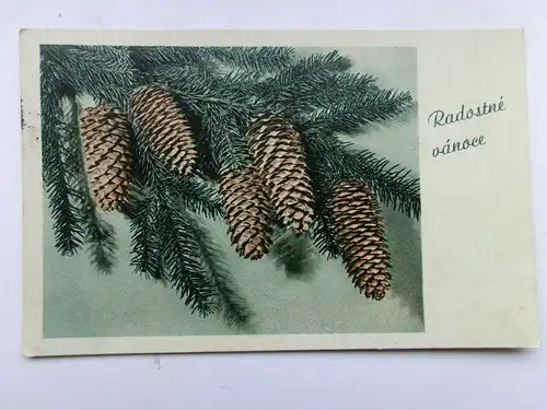 Alte AK Grußkarte Weihnacht Radostne vanoce Tannenzweig [aW533]