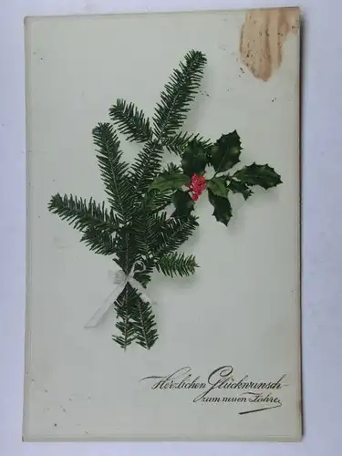 Alte AK Grußkarte Neujahr Tannenzweig (fleckig) [aW537]