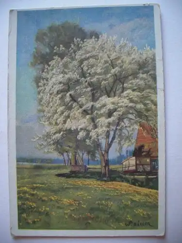 Alte AK Künstlerkarte Blühender Baum Wiese [D307]