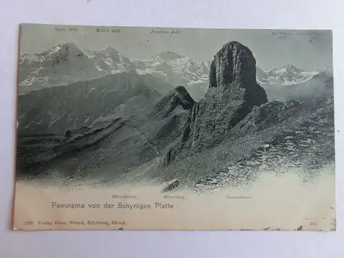 Alte AK Panorama von der Schynigen Platte 1905 [D1011]