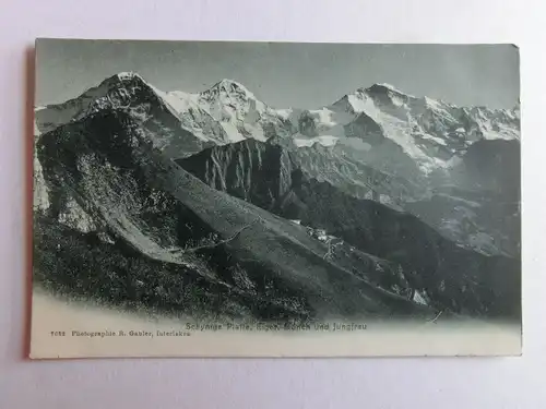 Alte AK Schynige Platte Eiger Mönch Jungfrau 1905 [D1054]