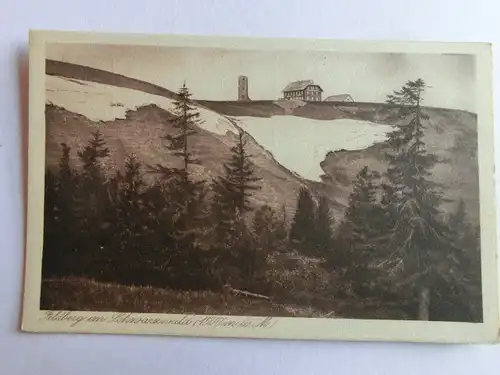 Alte AK Feldberg Schwarzwald um 1930 [D1073]