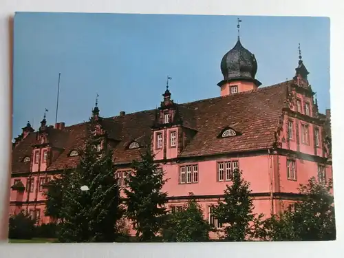 Alte AK Holzminden Schloß Bevern [D745]