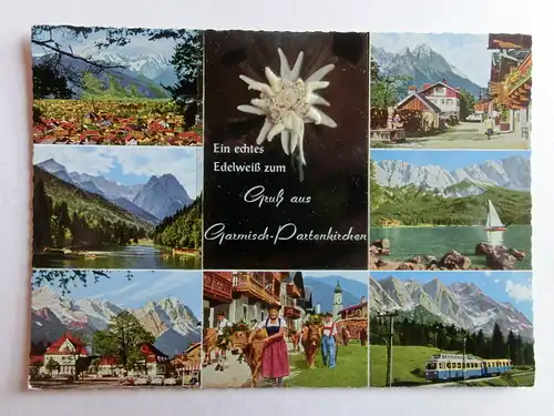 Alte AK Garmisch Partenkirchen Echtes Edelweiss [D793]