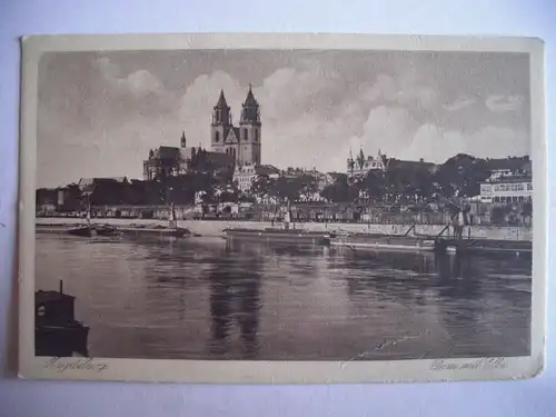 Alte AK Magdeburg Dom mit Elbe [T112]
