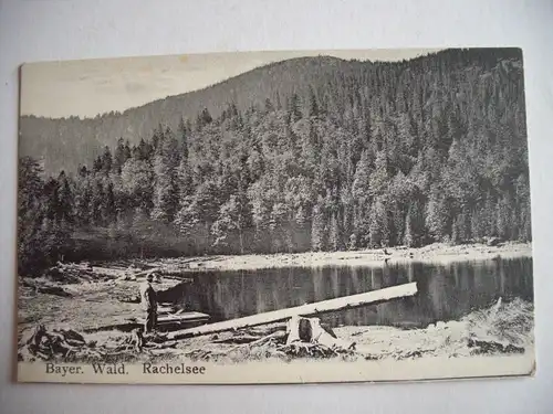 Alte AK Bayerischer Wald Rachelsee  um 1920 [T399]