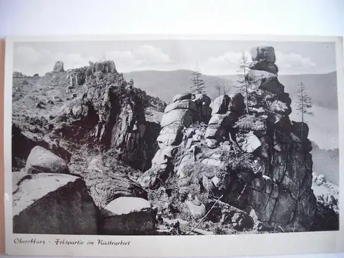 Alte AK Oker Harz Felspartie im Kästegebiet [F1027]