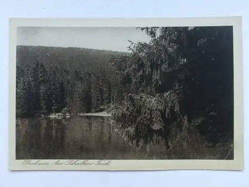 Alte AK Oberharz Harz Schalker Teich Clausthal Zellerfeld [aW650]