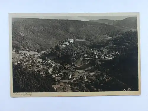 Alte AK Schwarzburg Thüringen Blick v. Trippstein [aW653]