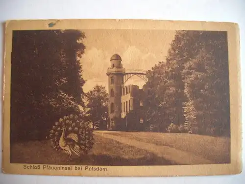 Alte AK Potsdam Schloß Pfaueninsel  [P637]