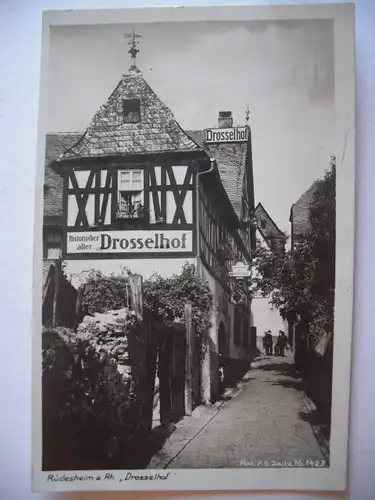 Alte AK Rüdesheim Drosselhof 1929 [P126]