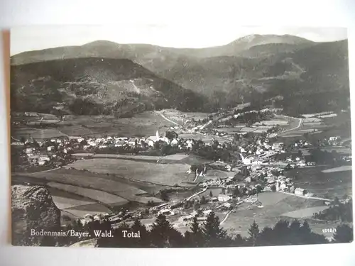 Alte AK Bodenmais Bayerischer Wald [Z362]