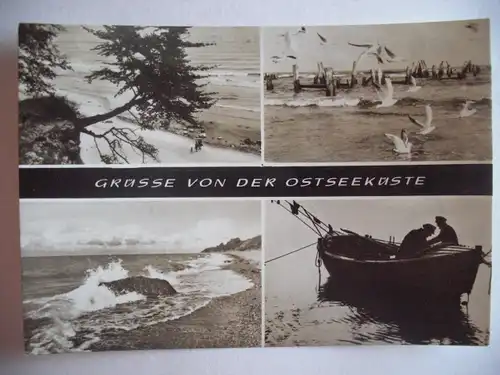 Alte AK Grüße von der Ostseeküste [U256]