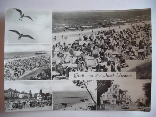 Alte AK Gruß von der Insel Usedom [U287]