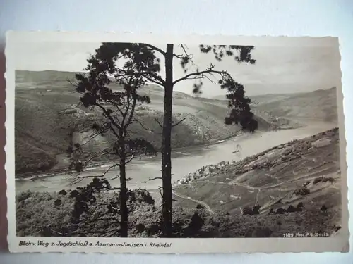 Alte AK Assmannshausen Rheintal [S421]