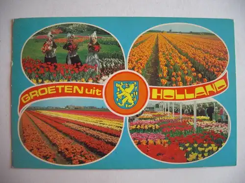 Alte AK Groeten uit Holland Tulpen Tulpenblüte [aF412]