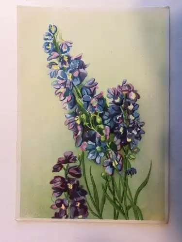 Alte AK Grußkarte Rittersporn [aX464]