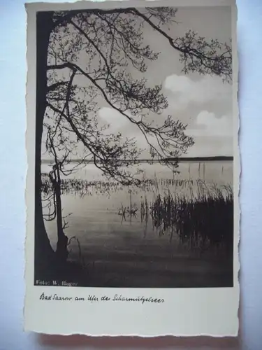 Alte AK Bad Saarow Ufer Scharmützelsee [aF10]