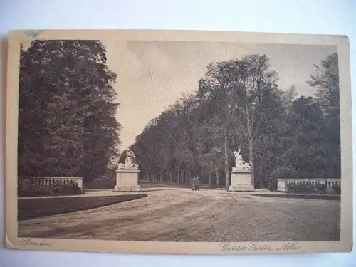 Alte AK Dresden Große Gartenallee [P246]