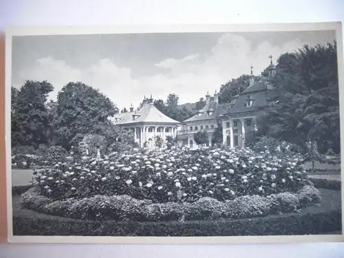 Alte AK Dresden Lustschloss Pillnitz Gartenanlage [P284]