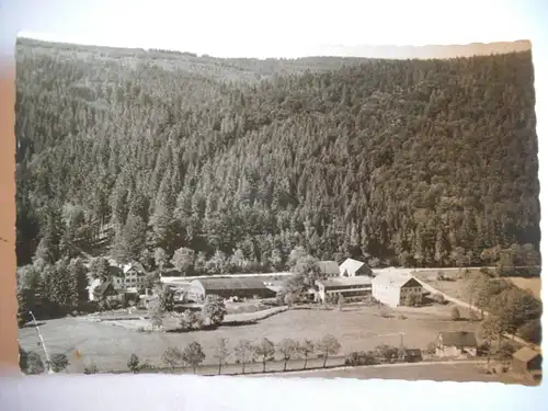 Alte AK Holzhau Erzgebirge (mit Knickfalte) [P304]