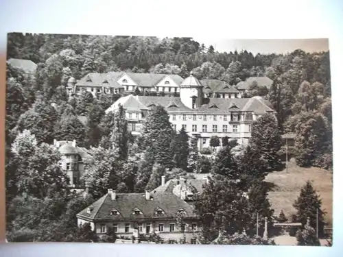 Alte AK Bad Gottleuba Sanatorium [P239]