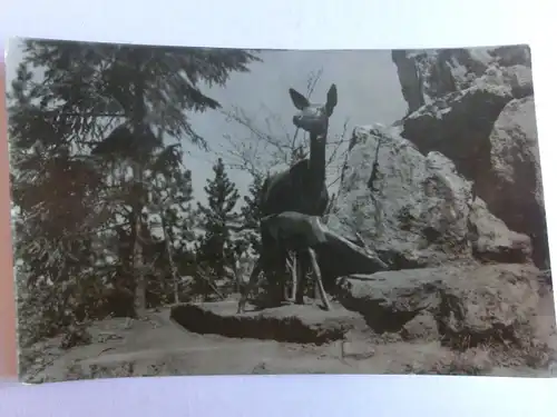 Alte AK Oberhof Thüringen Skulptur Reh Rehe [aJ754]