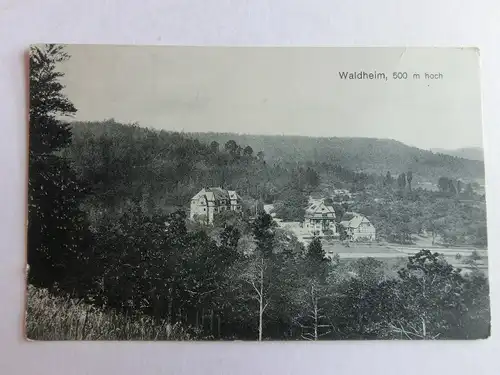 Alte AK Waldheim um 1910 [aX573]