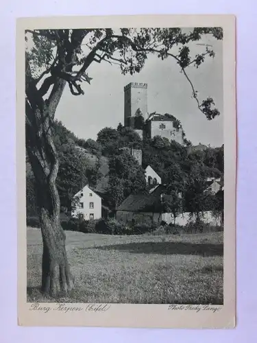 Alte AK Burg Kerpen Eifel [1024]